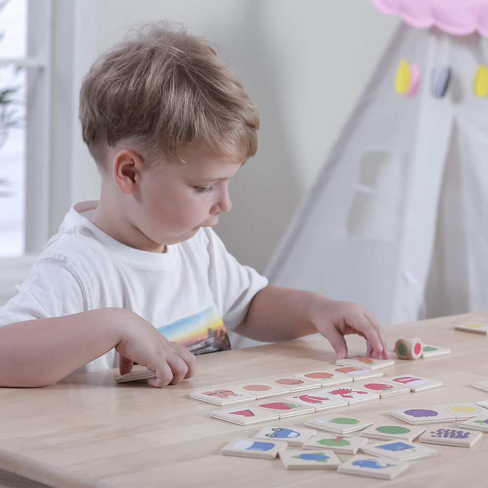 Viga Wooden Color Recognition Puzzle - 37pc Dice-Driven Sorting Game