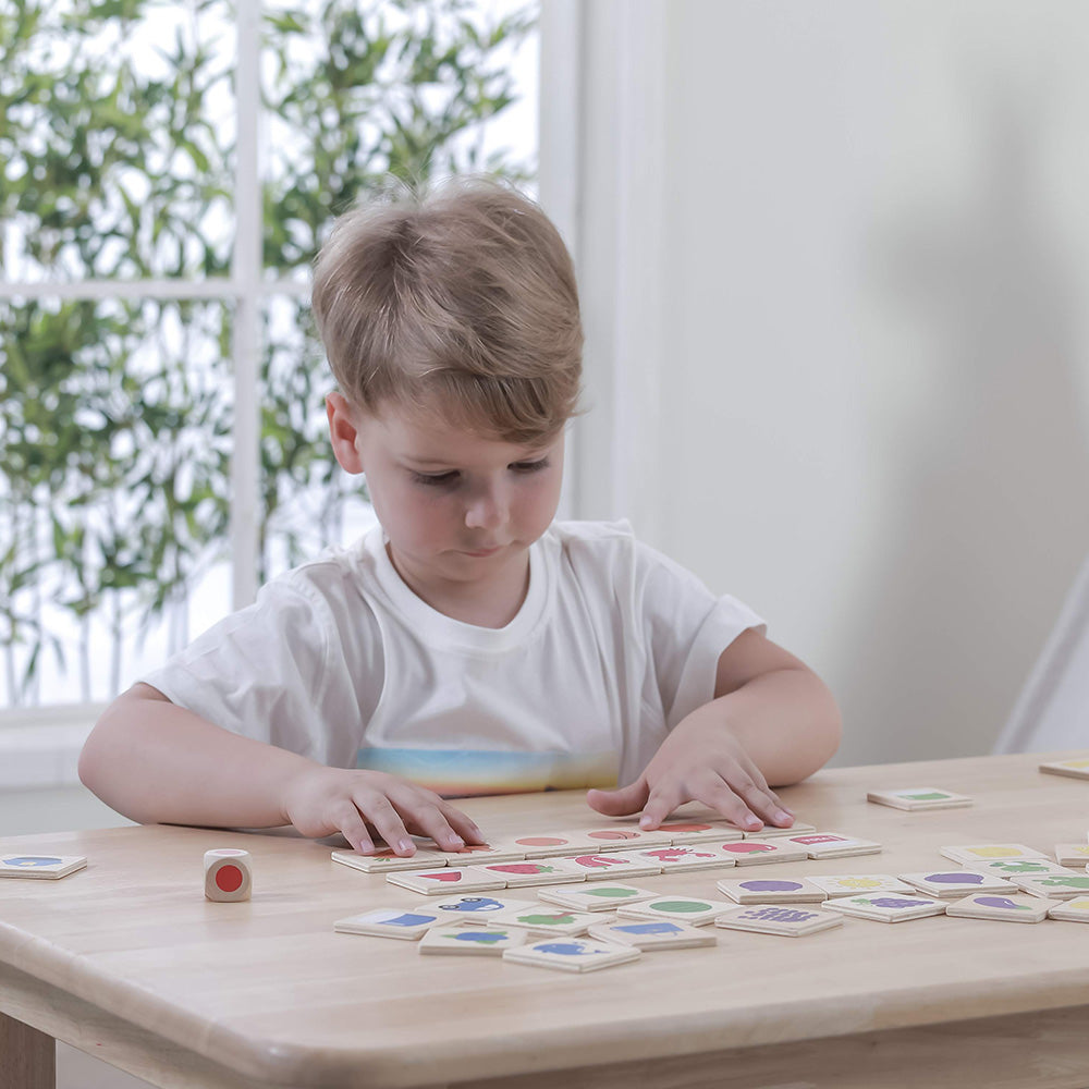 Viga Wooden Color Recognition Puzzle - 37pc Dice-Driven Sorting Game