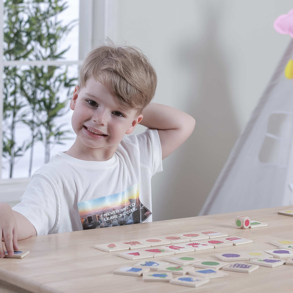 Viga Wooden Color Recognition Puzzle - 37pc Dice-Driven Sorting Game