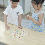 Viga Wooden Shape Recognition Puzzle - 37pc Dice-Driven Geometry Sorting Game