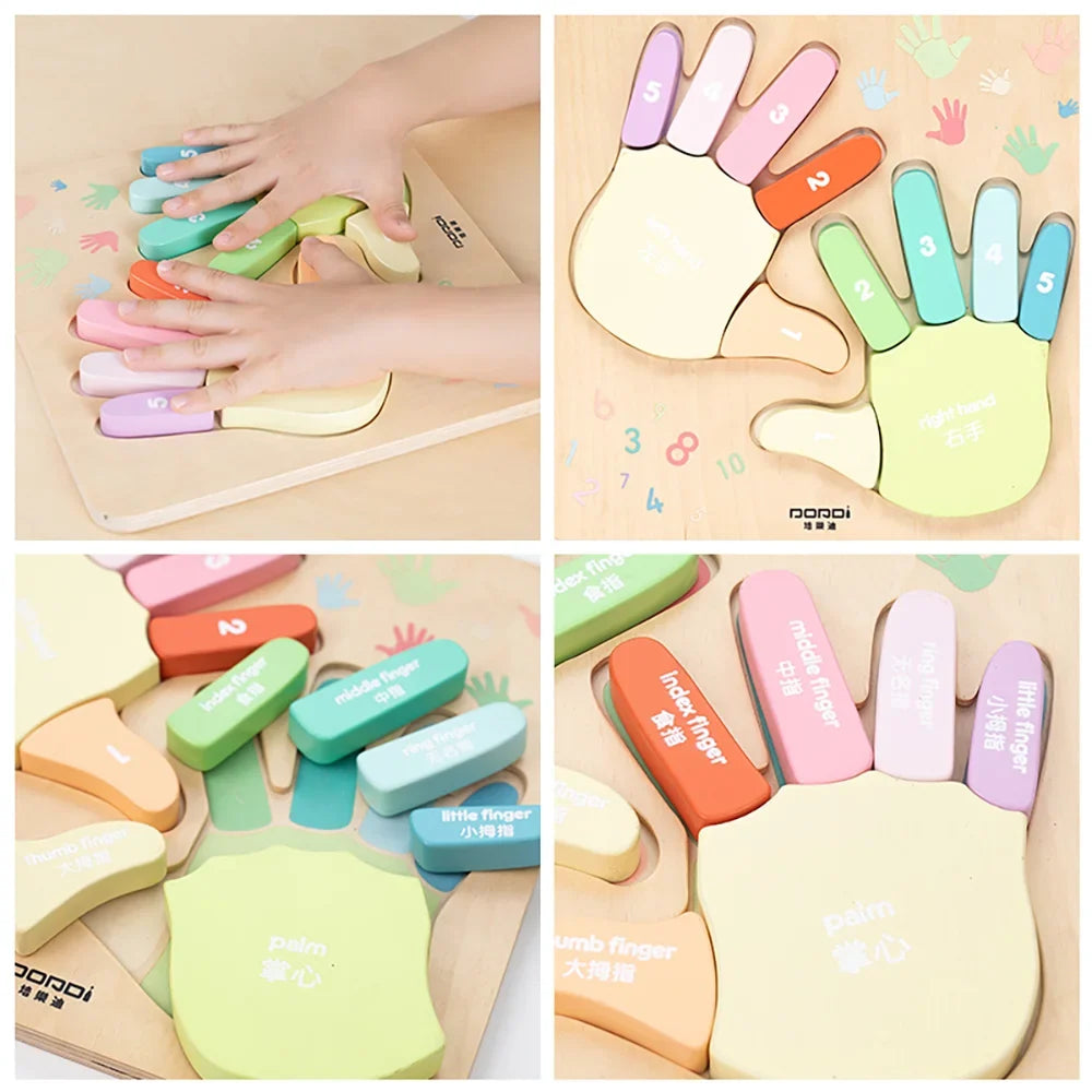 Fingers & Palms Counting Board