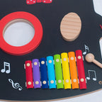 Master Musician Panel
